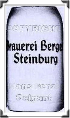 Steinburg Berger 2zag.jpg