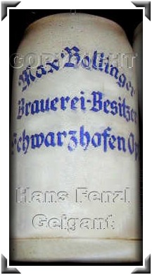 Schwarzhofen Bollinger ag.jpg